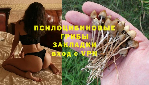 хмурый Дмитров