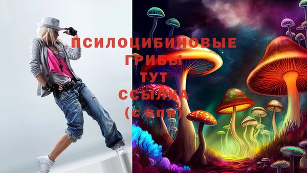 метамфетамин Алексеевка